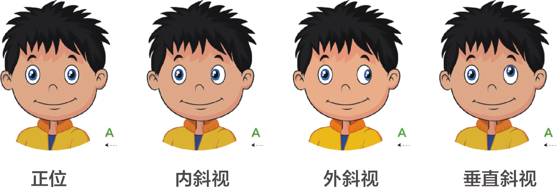 微信图片_2026-02-14_113222_124.png