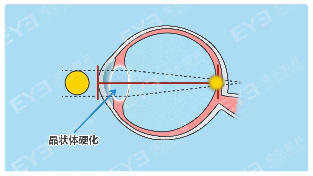 微信图片_2026-03-25_084944_959_看图王.jpg