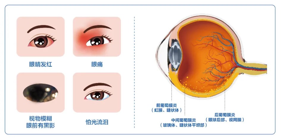 微信图片_2026-03-25_085640_975_看图王.jpg
