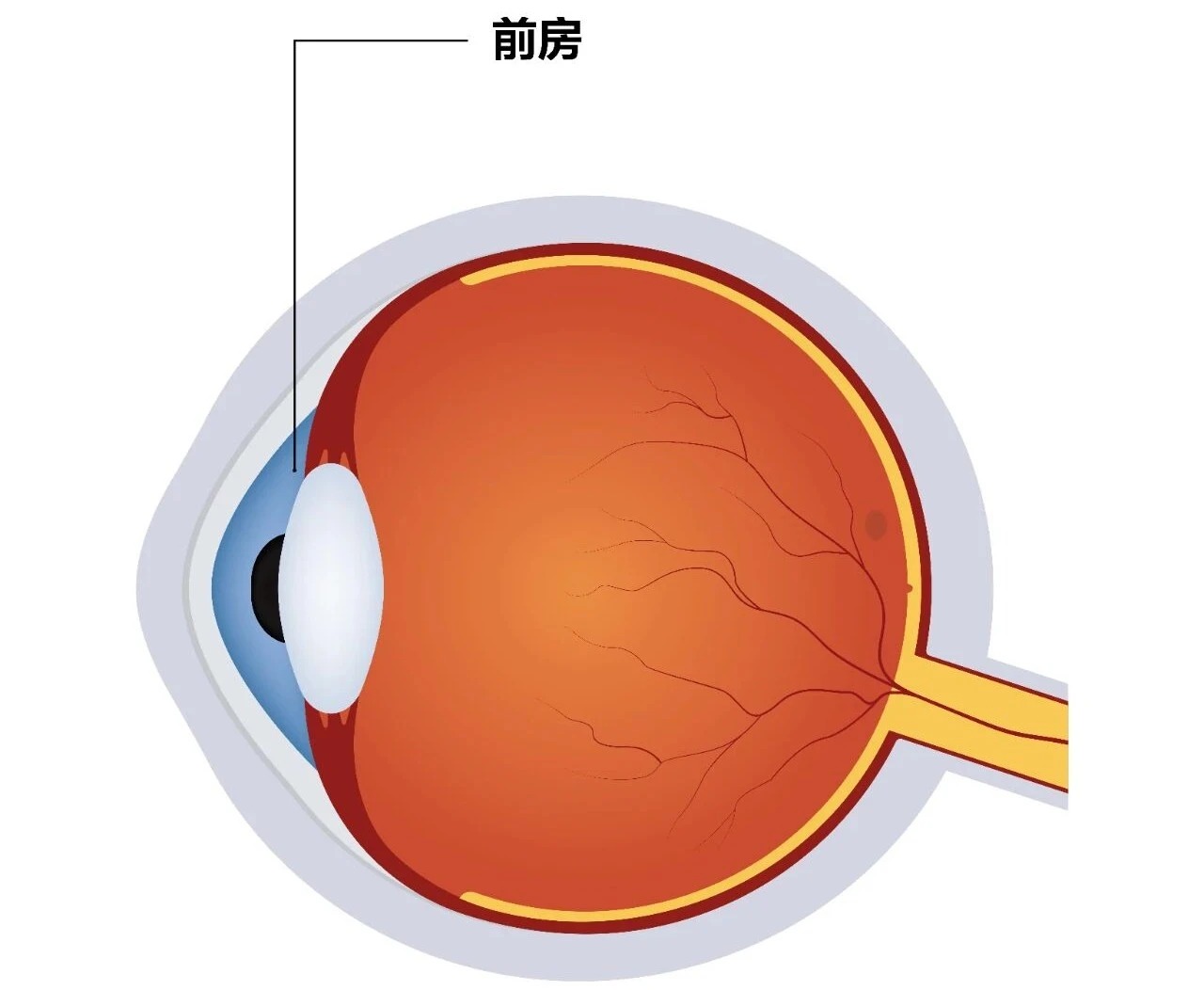 微信图片_2026-02-14_113721_436_看图王.jpg