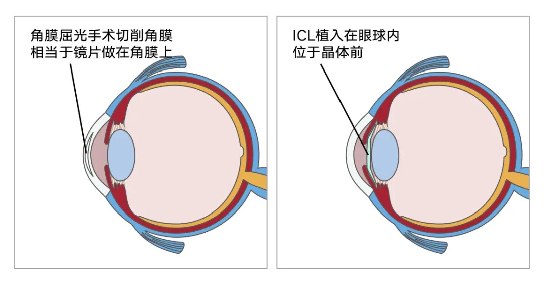 微信图片_2026-04-13_113847_620_看图王.jpg