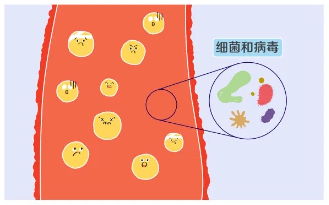 微信图片_2026-04-16_173709_968_看图王.jpg