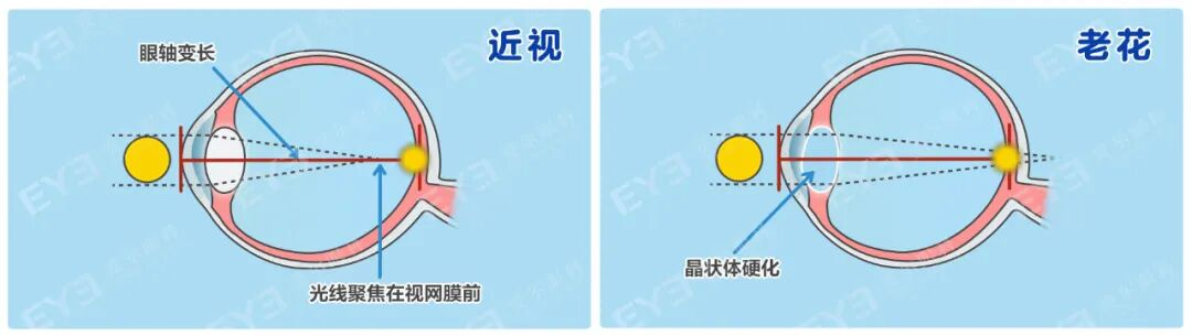 微信图片_2026-04-21_185023_465.png