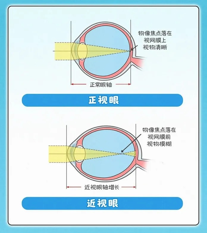 微信图片_2026-04-21_185431_472_看图王.jpg