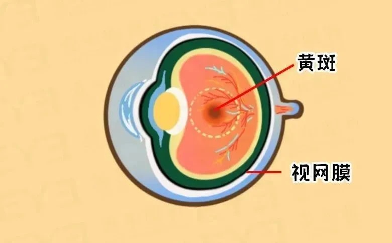 微信图片_2026-04-23_173829_060_看图王.jpg