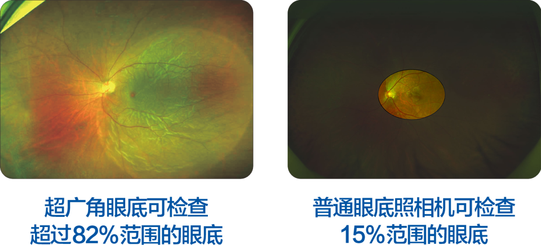微信图片_2026-04-23_173833_347.png