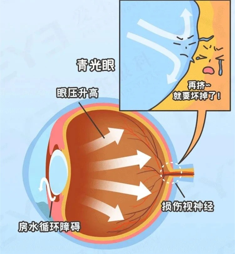 微信图片_2026-05-19_184610_813_看图王.jpg