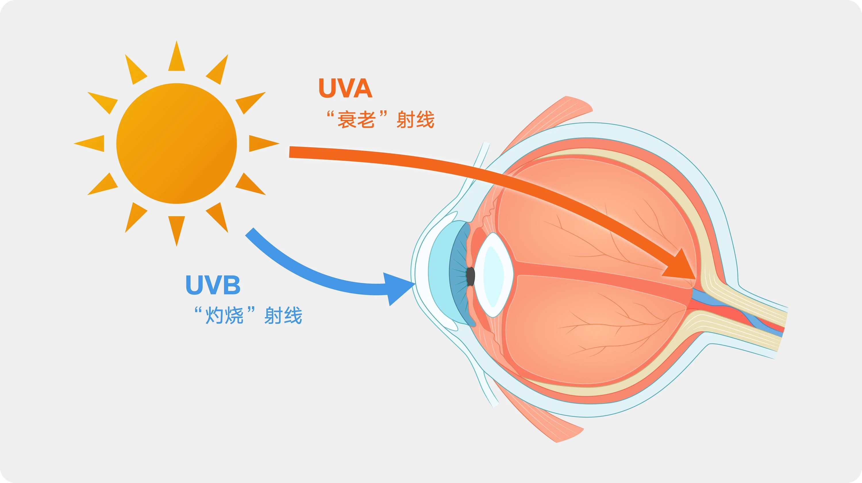 微信图片_2026-05-27_153149_609_看图王.jpg