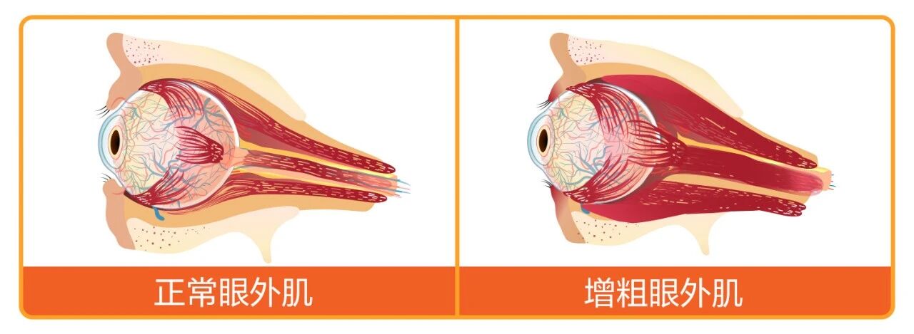 微信图片_2026-05-27_160639_410.jpg