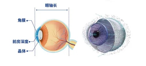 微信图片_2026-06-04_185311_974_看图王.jpg