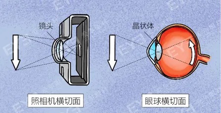 微信图片_2026-06-13_091814_633_看图王.jpg