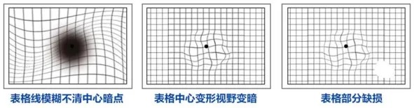 微信图片_2026-06-13_085946_316_看图王.jpg