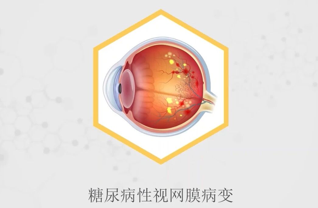 微信图片_2026-06-18_171157_038.jpg