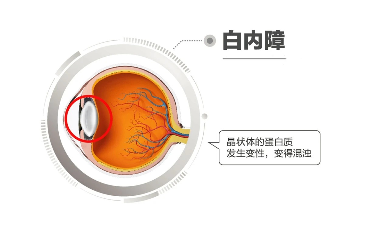 微信图片_2026-06-19_174305_296_看图王.jpg