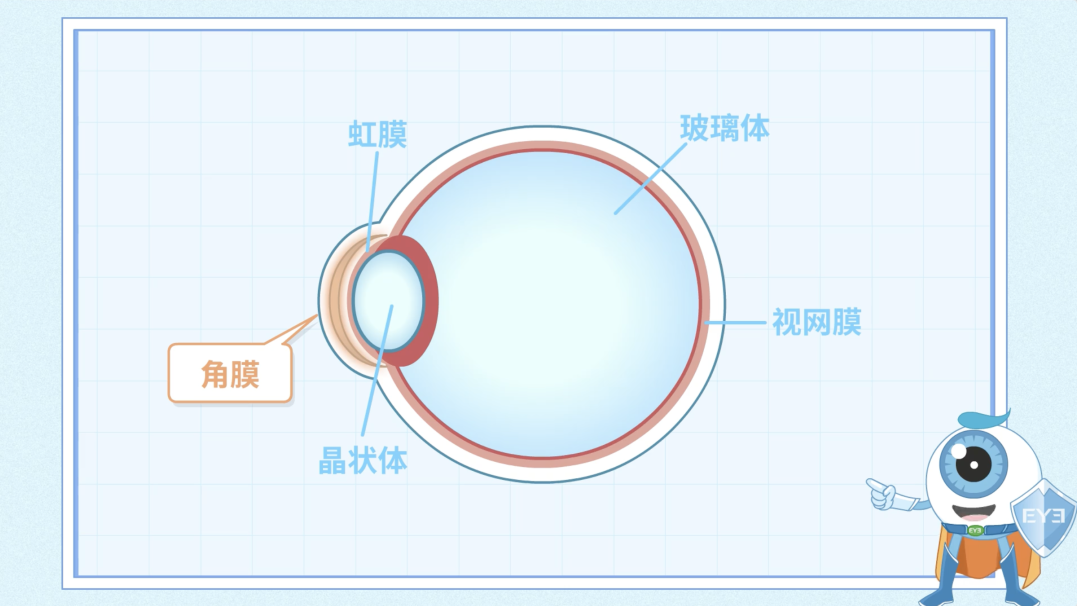 微信图片_2026-06-22_184246_268.png