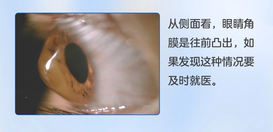 微信图片_2026-06-24_183105_133_看图王.jpg