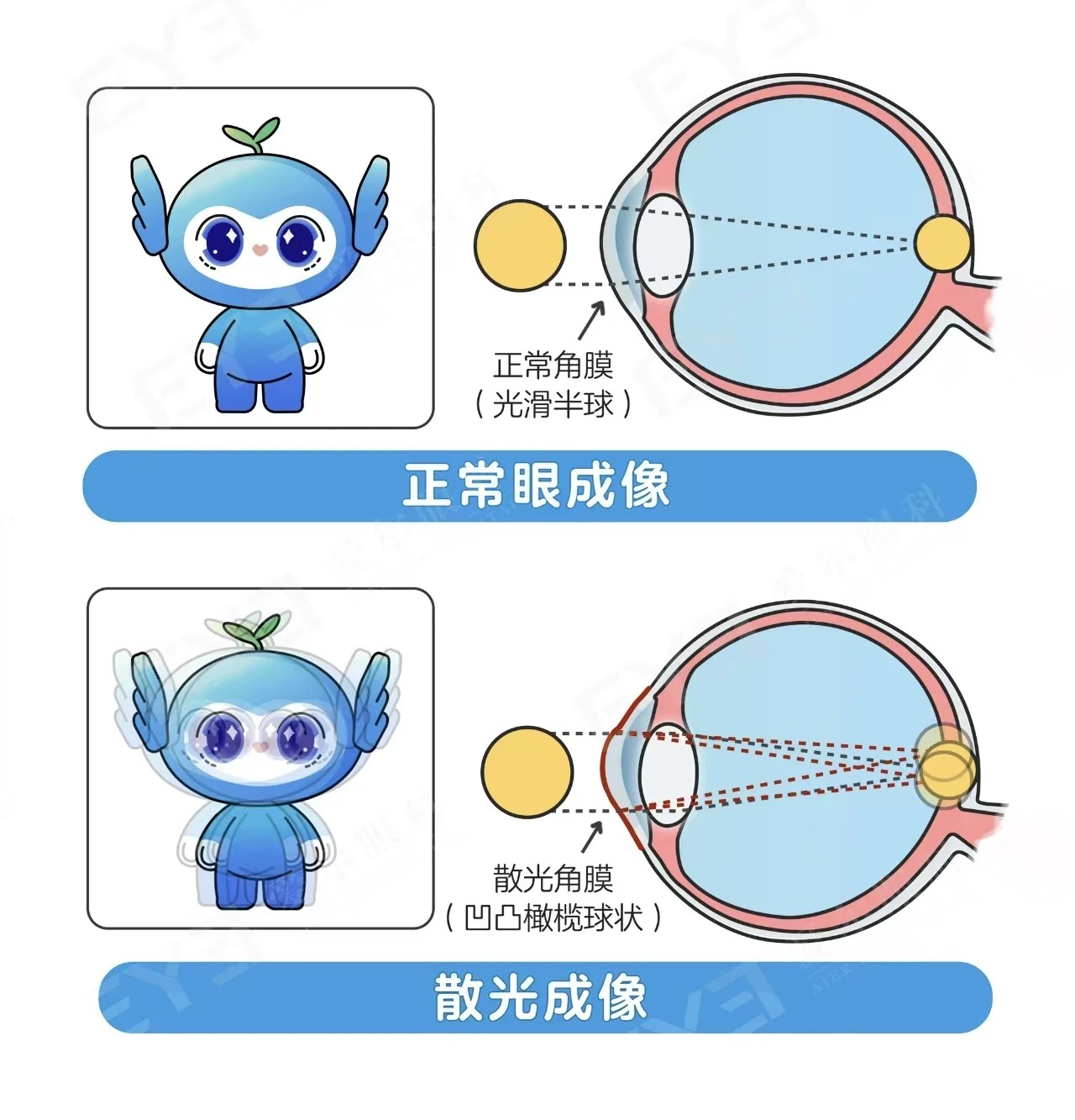微信图片_2026-07-03_181416_999_看图王.jpg