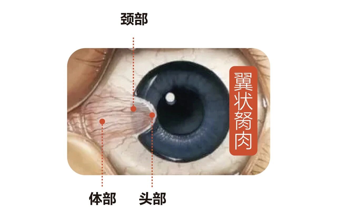 微信图片_2026-07-06_180156_307.jpg