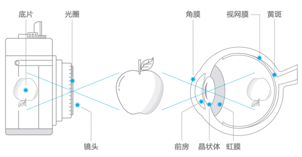 微信图片_2026-07-13_180526_802.png