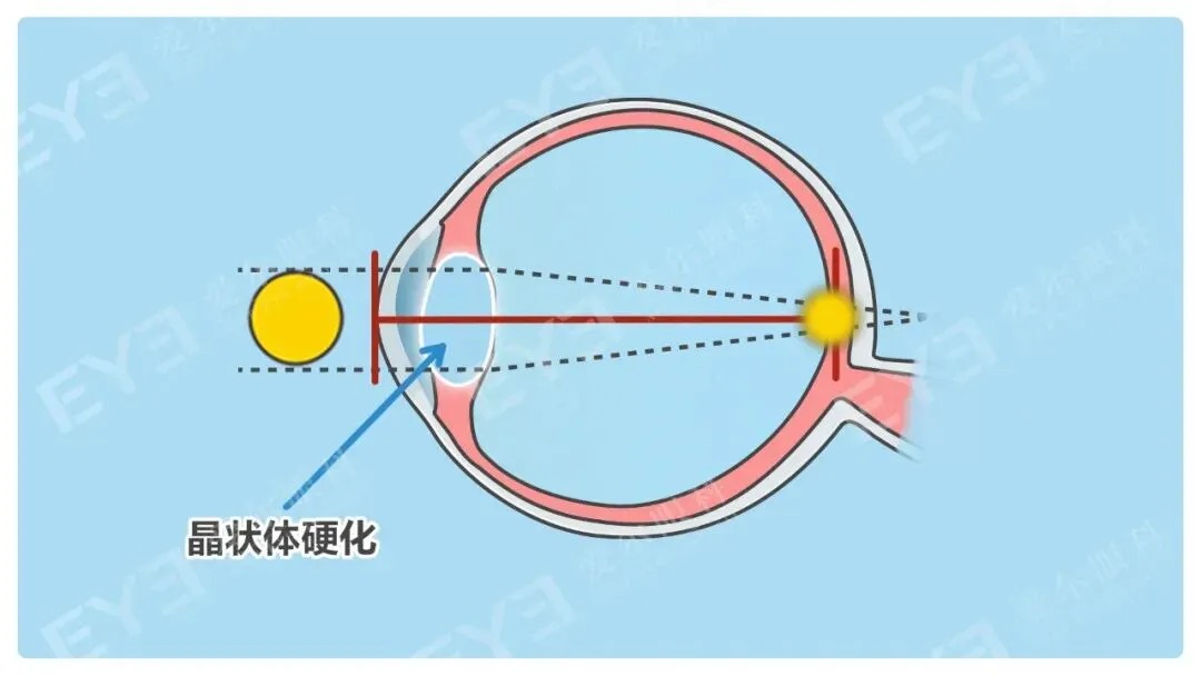 微信图片_2026-07-14_152749_136_看图王.jpg