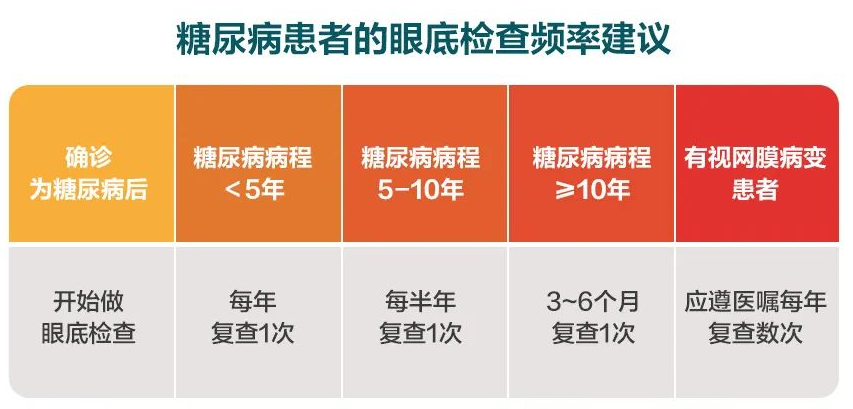眼底2.png